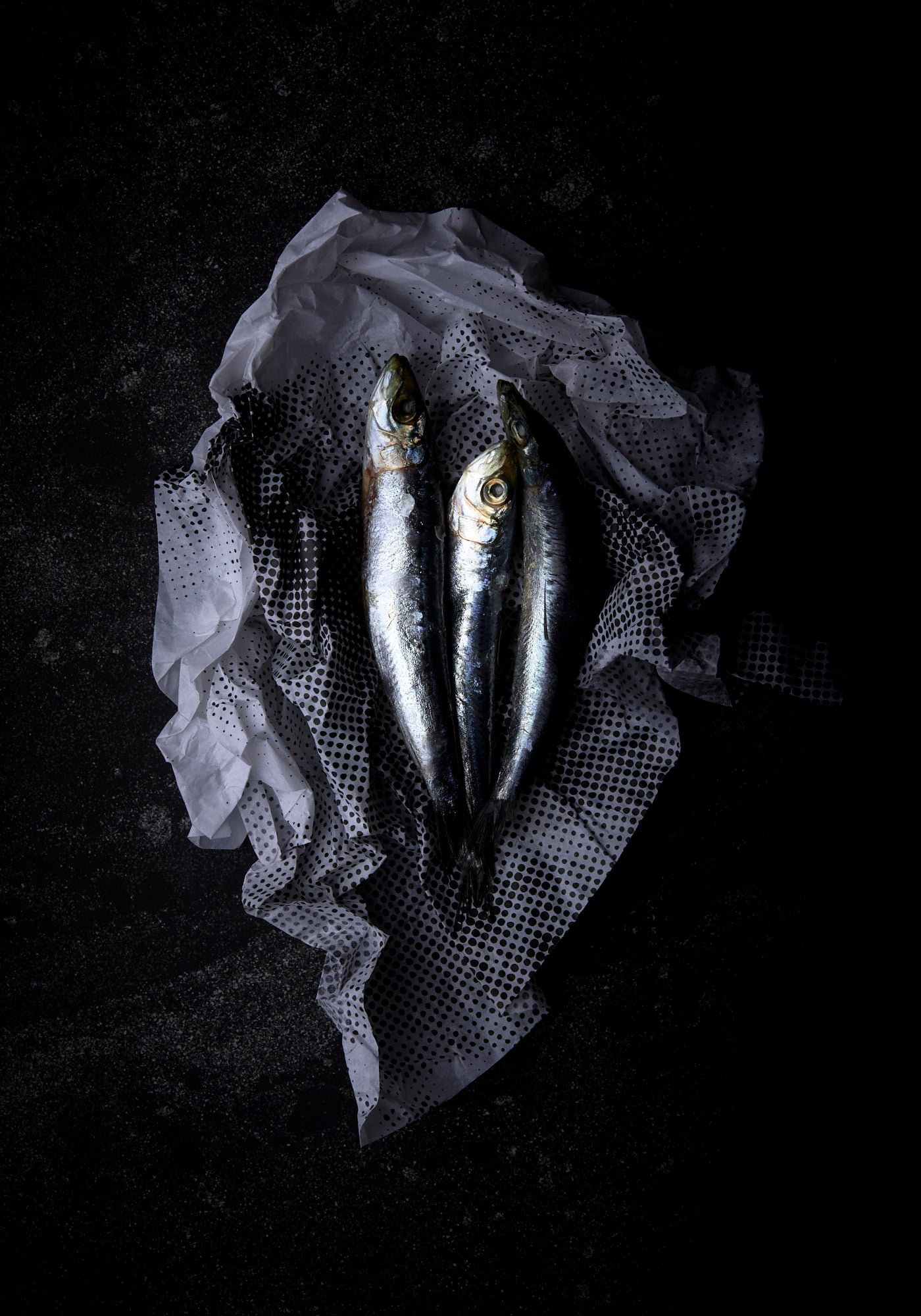 Sardines