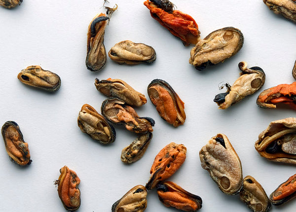 NZ Mussel (single)