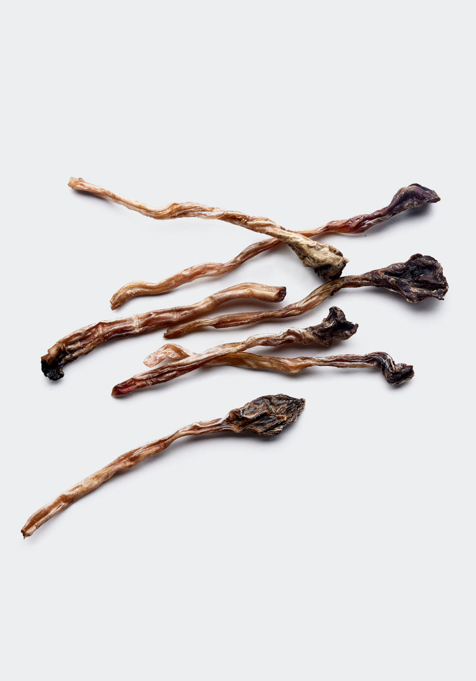 Kangaroo tendons