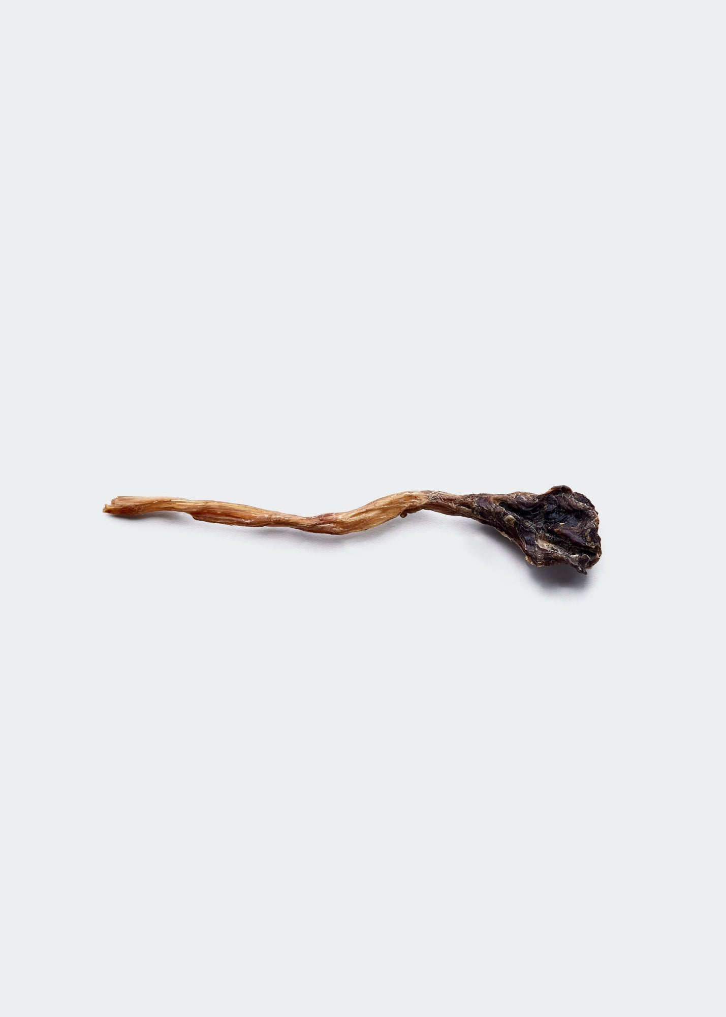 Kangaroo tendon (single)