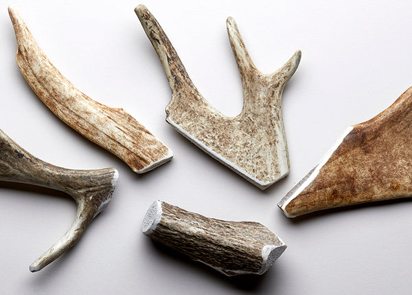 Deer antler medium (single)