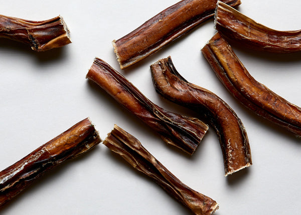 Bully stick (single)