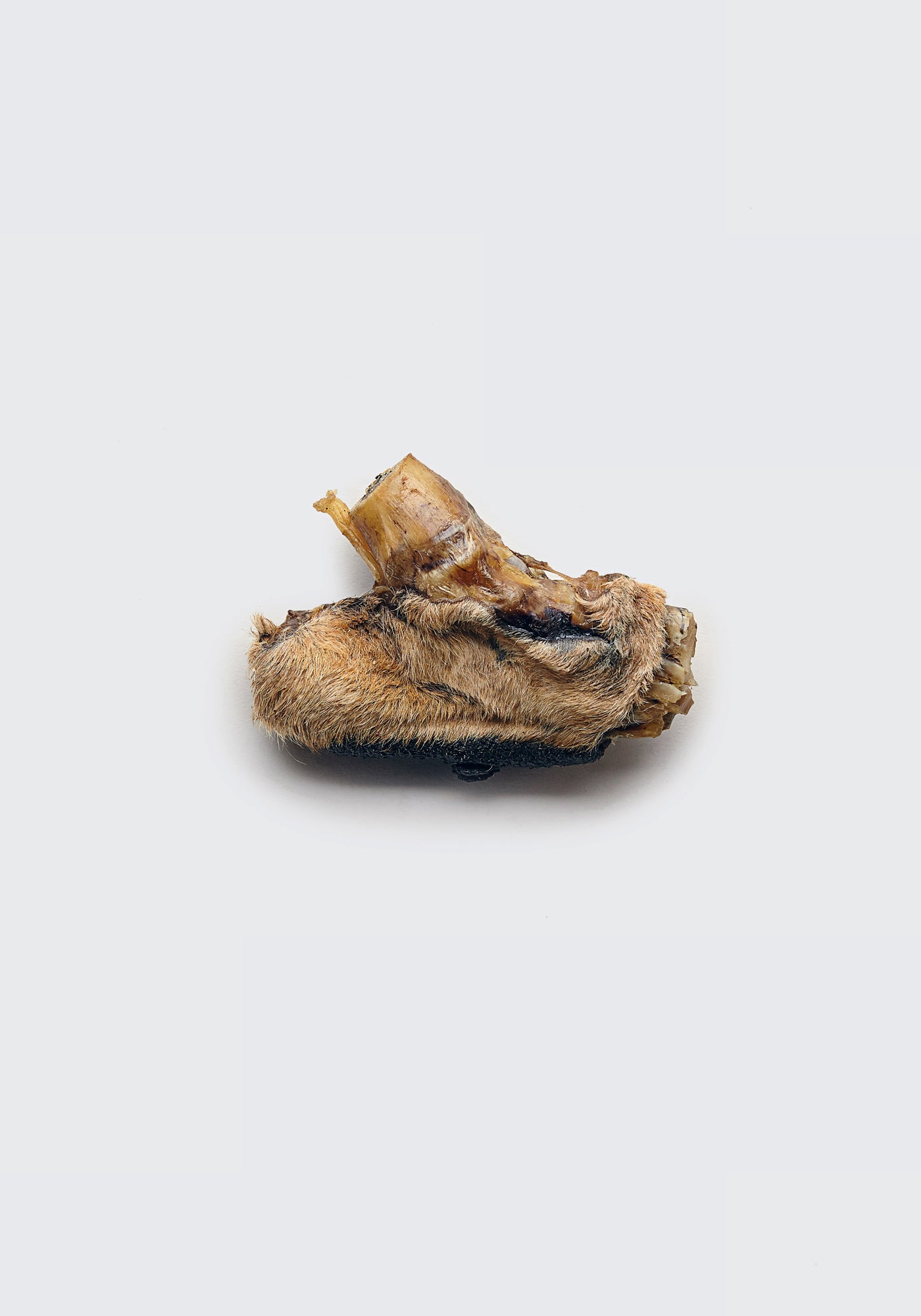 Kangaroo pad (single)