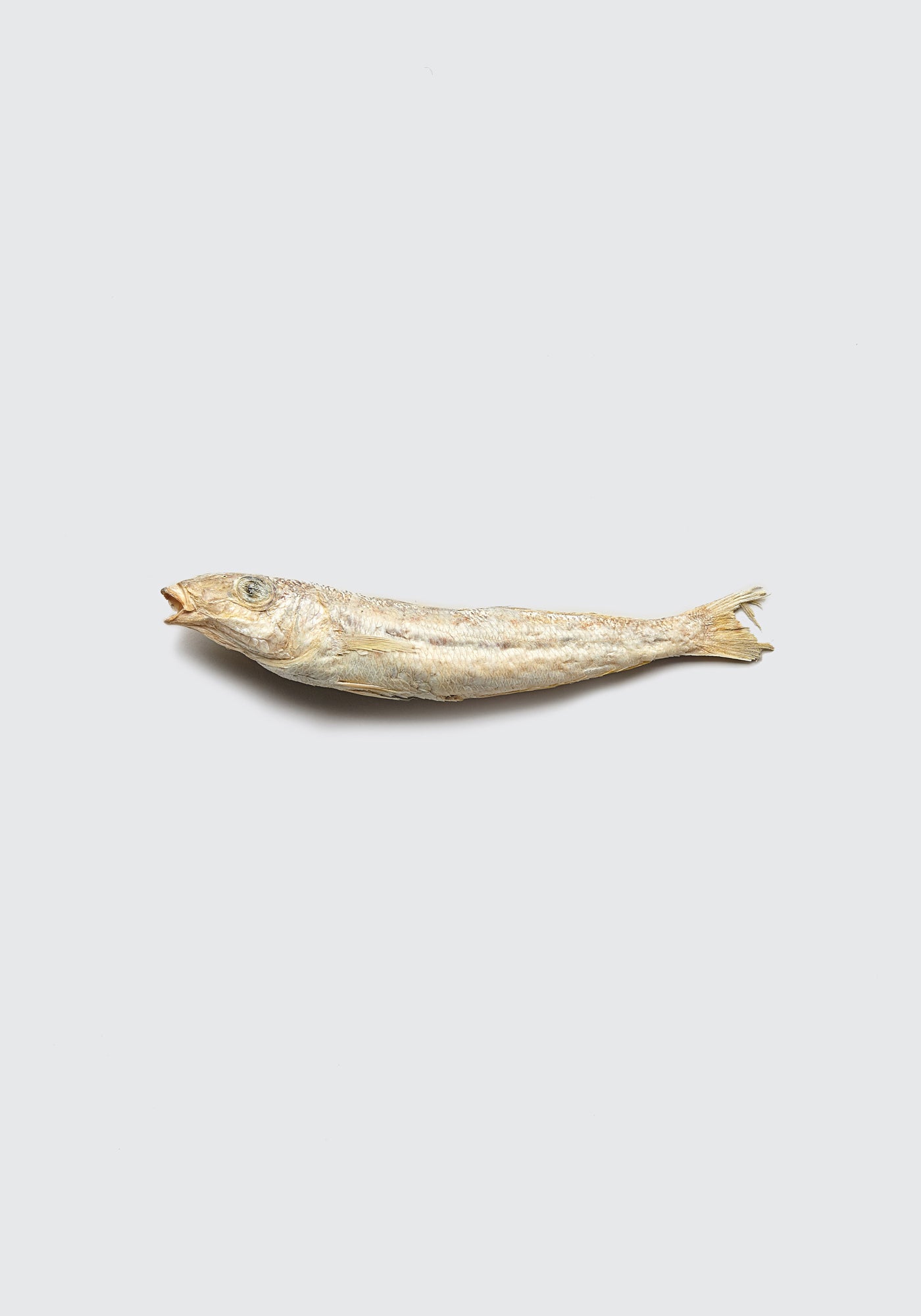 Whiting (single)